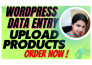 do data entry, upload products, shopify products